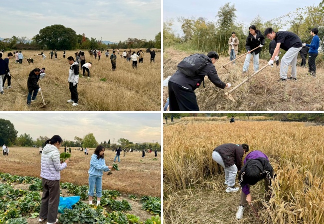 图2 学生劳动.jpg 图2 学生劳动.jpg